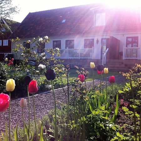 Svanebaecks Gard Villa Viken  Exterior foto